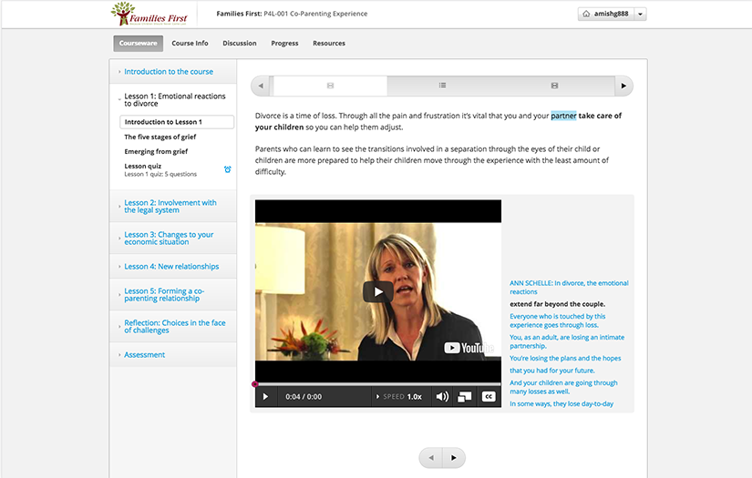 Families First: Online Learning for Family Welfare screenshot 3